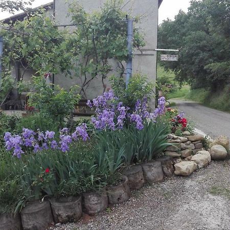 B&B San Nicola Medesano Extérieur photo