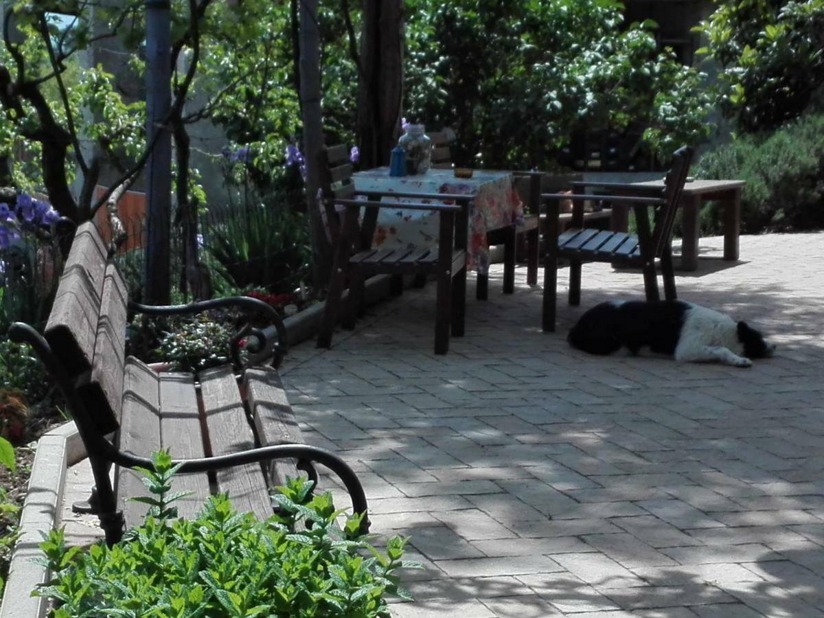 B&B San Nicola Medesano Extérieur photo
